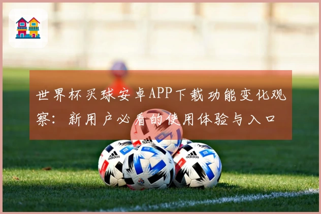 世界杯买球安卓APP下载功能变化观察：新用户必看的使用体验与入口介绍
