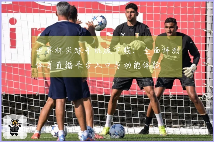 世界杯买球手机版下载：全面评测体育直播平台入口与功能体验