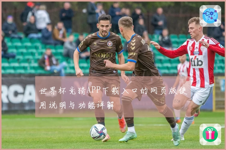 世界杯竞猜APP下载入口的网页版使用说明与功能详解