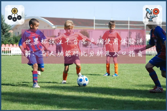世界杯投注平台客户端使用体验详解：各大功能对比分析及入口指南