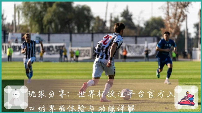 玩家分享：世界杯投注平台官方入口的界面体验与功能详解