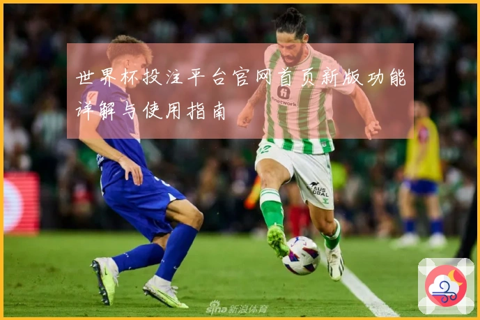 世界杯投注平台官网首页新版功能详解与使用指南