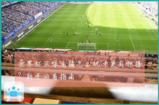 世界杯买球竞猜怎么玩才更有把握？新手必看指南