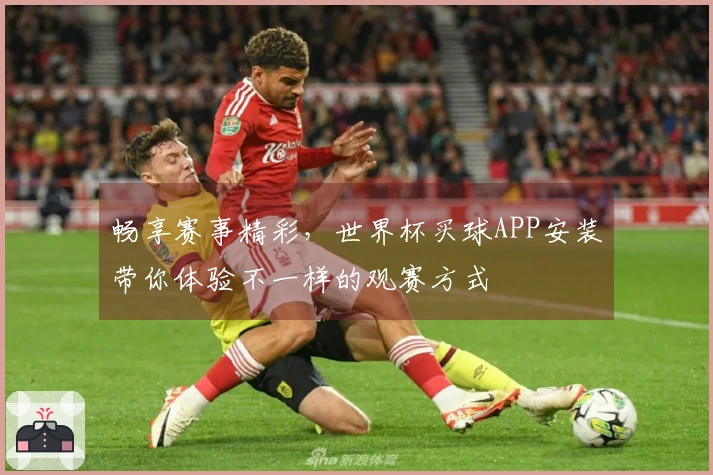畅享赛事精彩，世界杯买球APP安装带你体验不一样的观赛方式