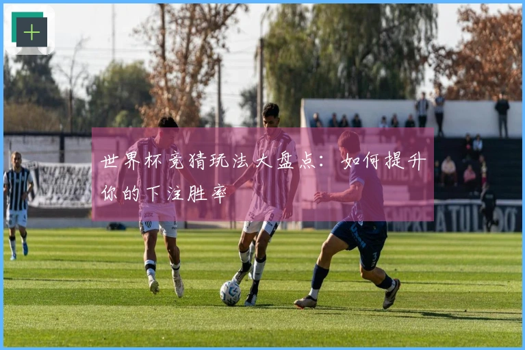 世界杯竞猜玩法大盘点：如何提升你的下注胜率