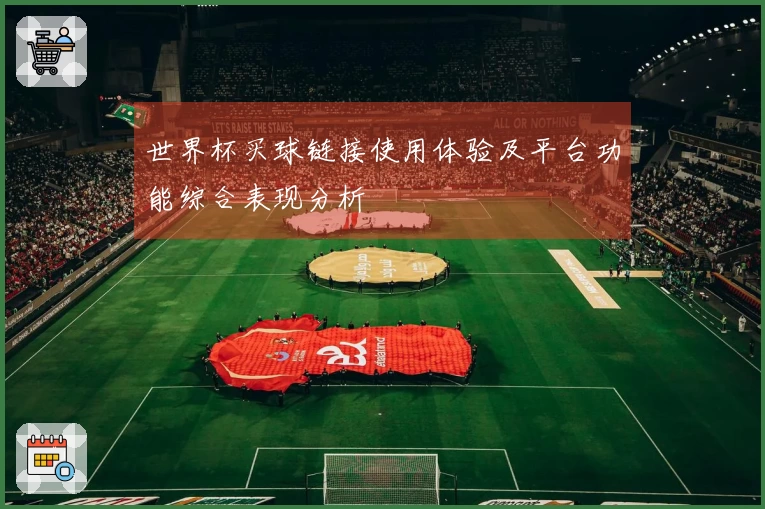 世界杯买球链接使用体验及平台功能综合表现分析