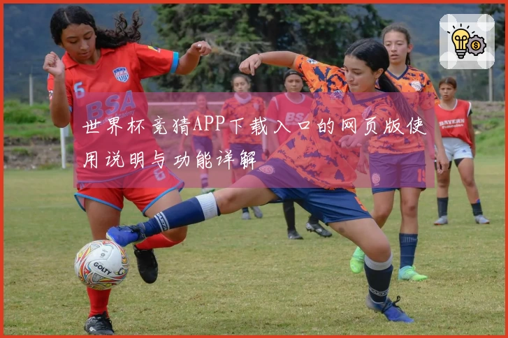 世界杯竞猜APP下载入口的网页版使用说明与功能详解