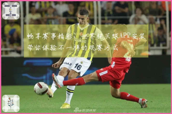 畅享赛事精彩，世界杯买球APP安装带你体验不一样的观赛方式