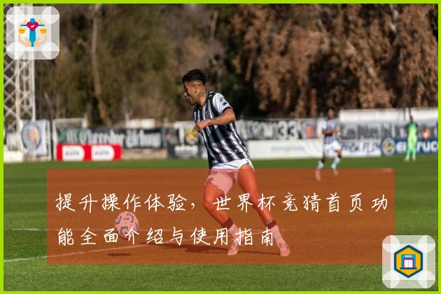 提升操作体验，世界杯竞猜首页功能全面介绍与使用指南