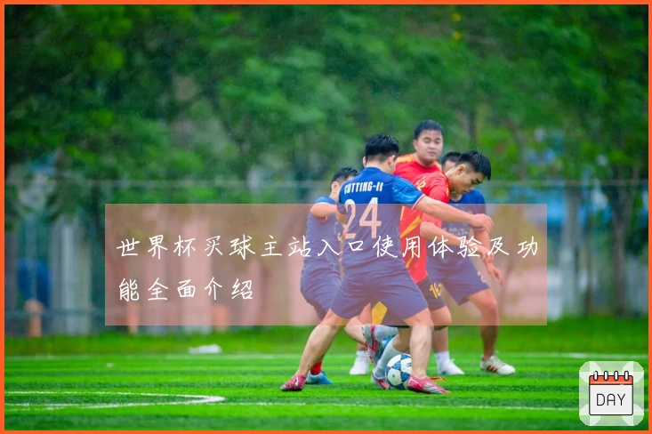 世界杯买球主站入口使用体验及功能全面介绍